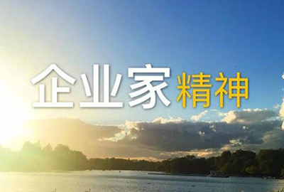 企业家精神6元素